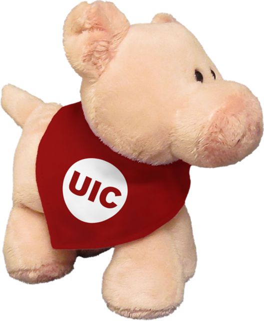 Pig