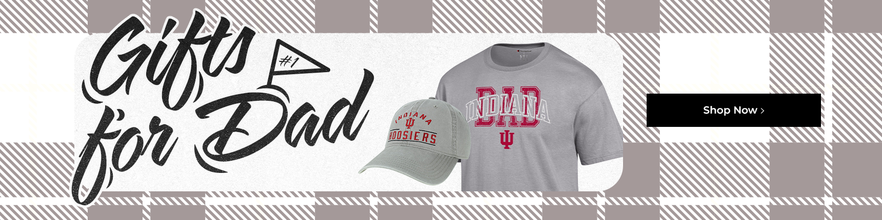 Gifts for dad