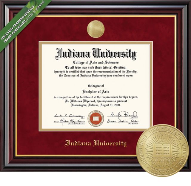 Framing Success Windsor 8.5 x 11 BA/MA/PhD Diploma with Double mat and Medallion