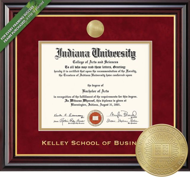 Framing Success Windsor 8.5 x 11 Business Diploma with Double mat and Medallion