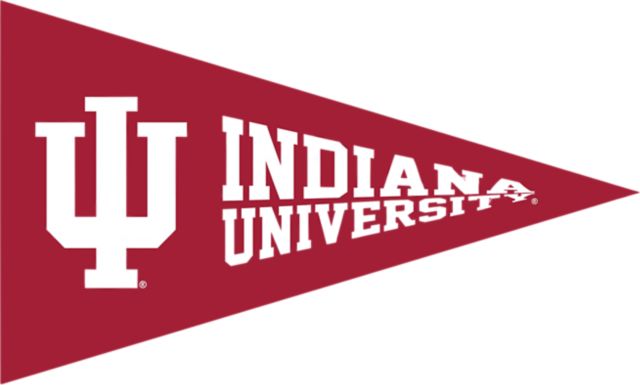 Indiana University Hoosiers Mini Magnet Pennant