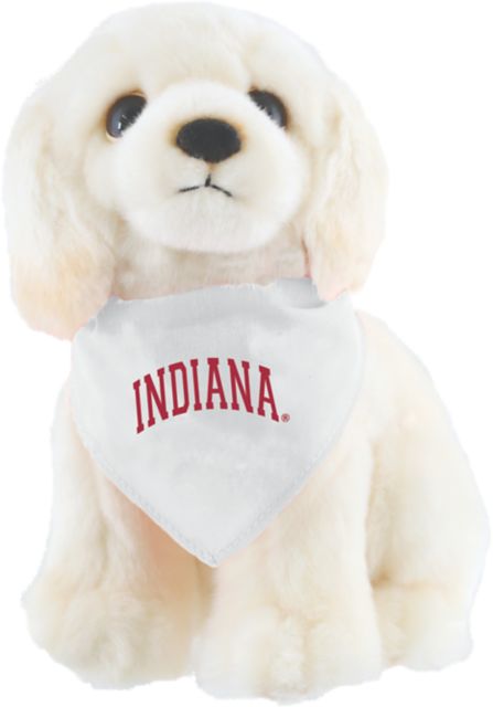 Indiana University Hoosiers Mindy's Minions