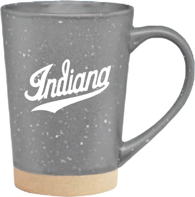 Indiana University Hoosiers 16 oz. Earthstone Mug