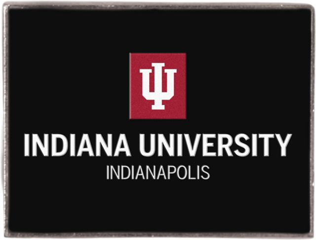 Foxboro Rectangular Lapel Pin