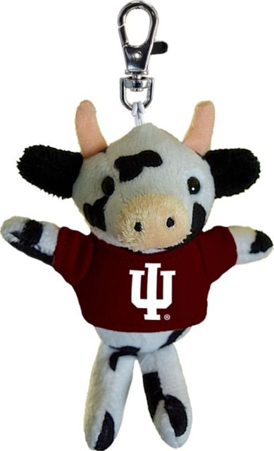 PLUSH KEYCHAIN W/T/HAWK/    ./