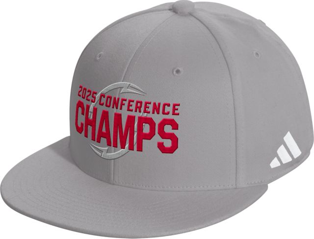 Indiana University Hoosiers Football 2025 Big 10 Champions Cap