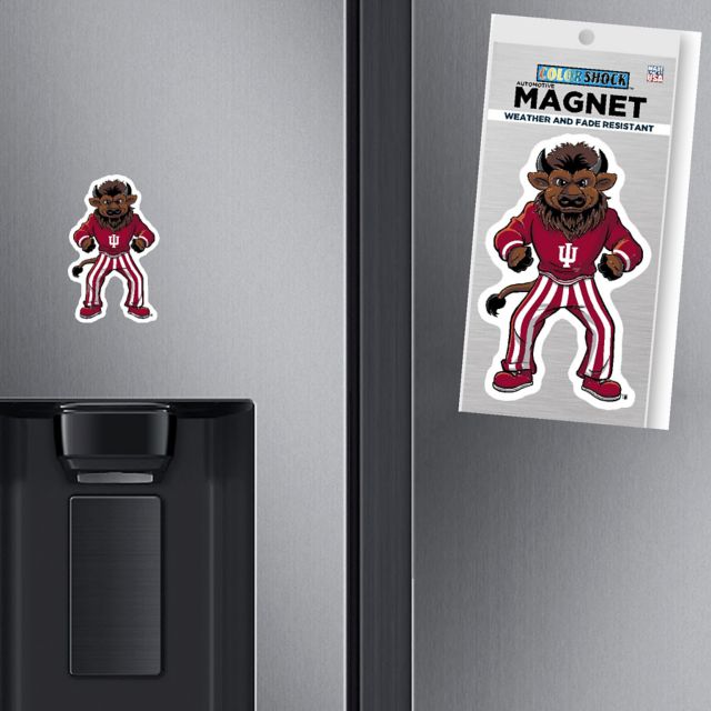 Indiana University Hoosiers Mini Magnet