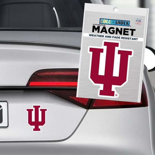 Indiana University Hoosiers 4" x 4" Magnet