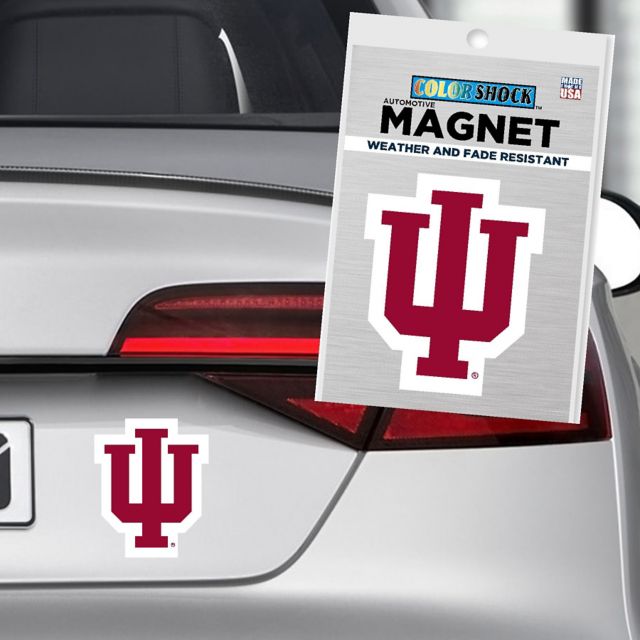 Indiana University Hoosiers 4'' x 4'' Magnet