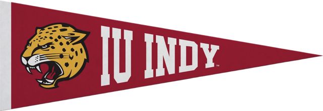 Indiana University Indianapolis Jaguars 5x15 Pennant