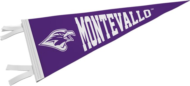 University of Montevallo Falcons 12'' x 30'' Pennant