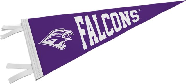 University of Montevallo Falcons 9'' x 24'' Pennant