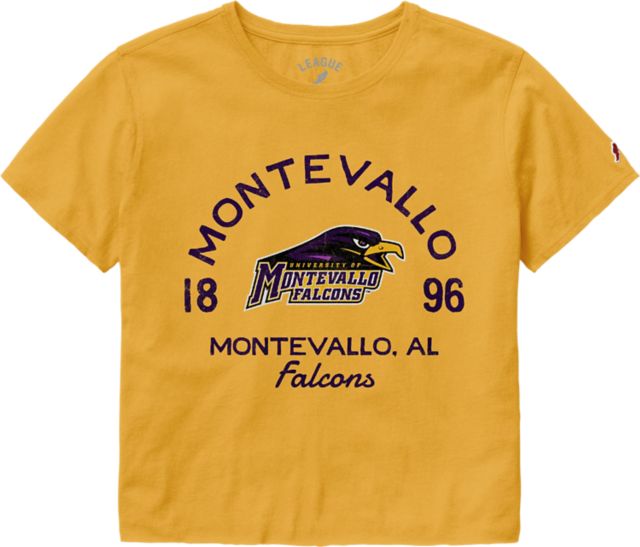 University of Montevallo Falcons Women's Clothesline Short Sleeve T-Shirt