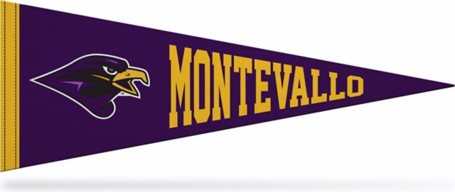 University of Montevallo Falcons 9" x 24" Pennant