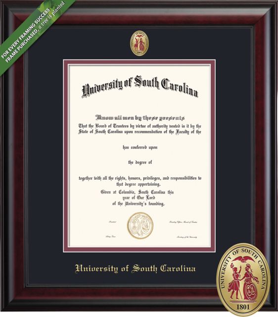 University of South Carolina 14'' x 11'' Classic Diploma Frame