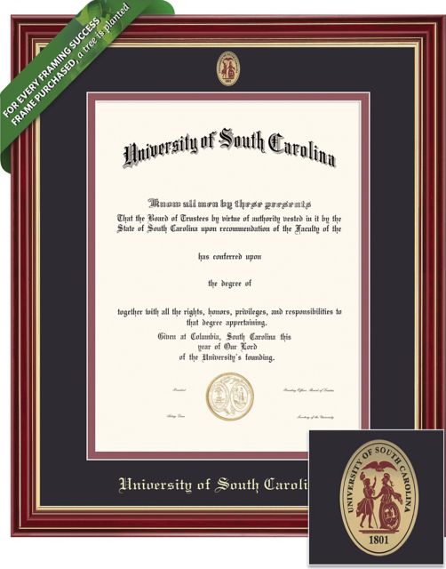 University of South Carolina 11'' x 14'' Regal Diploma Frame