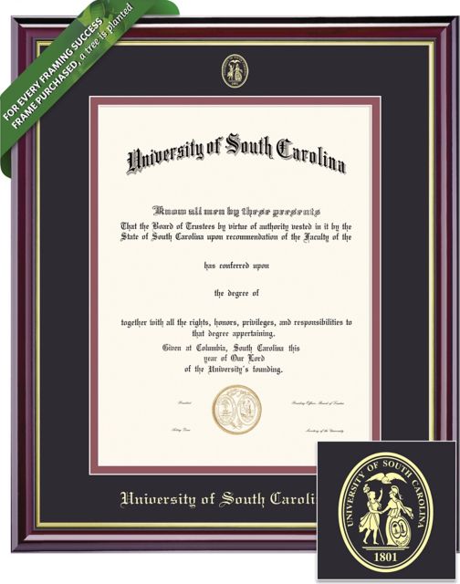 University of South Carolina 11'' x 14'' Windsor Diploma Frame