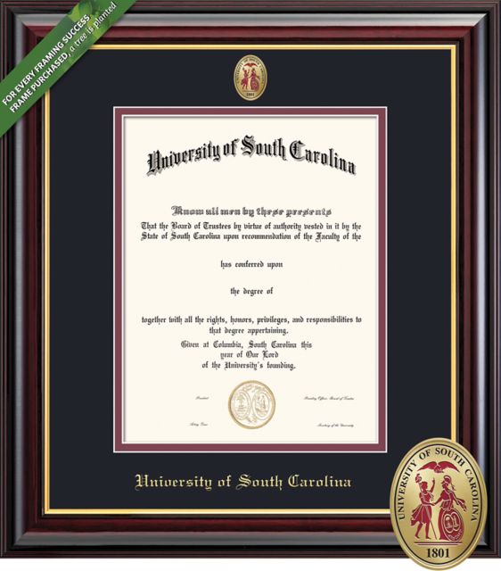University of South Carolina 14'' x 11'' Windsor Diploma Frame