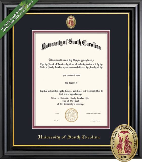 DIPL 14 x 11 DM Coron 2295 229