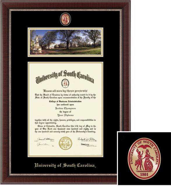 Church Hill Classics Campus Scene, 11x14, Associates, Bachelors, Masters, PHD, Diploma Frame - ONLINE ONLY