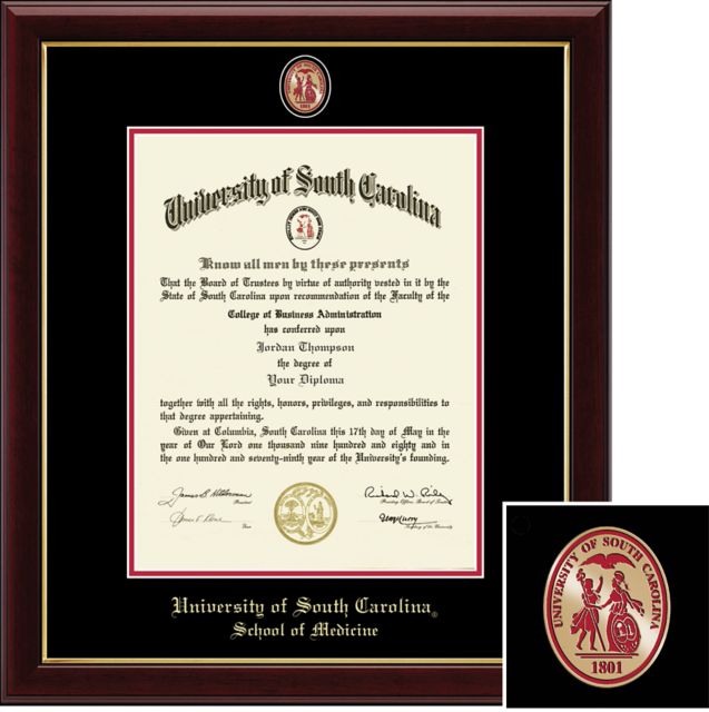 Church Hill Classics Masterpiece, Medicine, 11x14, PhD, Diploma Frame - ONLINE ONLY