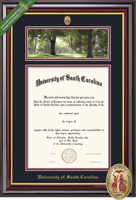 University of South Carolina 14'' x 11'' Windsor Diploma Frame