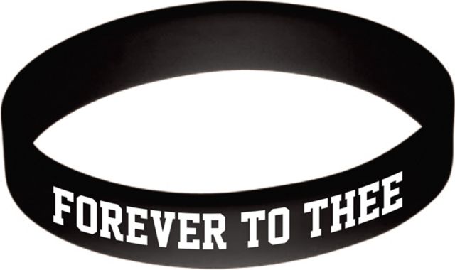 University of South Carolina Gamecocks Silicone Wristband