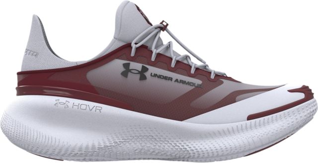 University of South Carolina SlipSpeed Mega Shoes