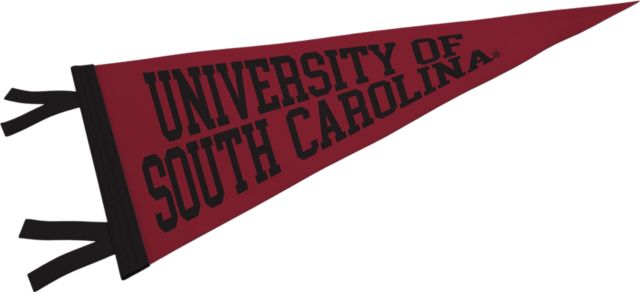University of South Carolina 6'' x 15'' Pennant