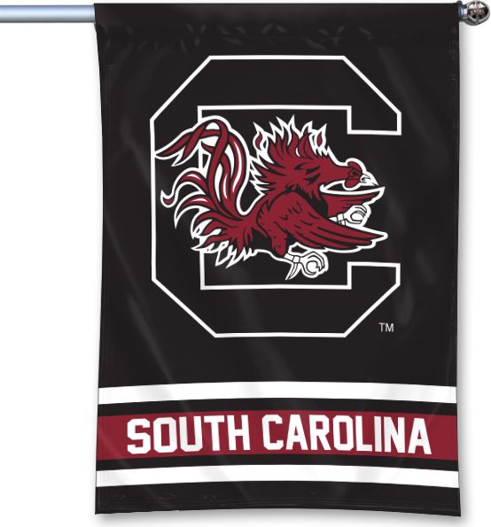 University of South Carolina Banner