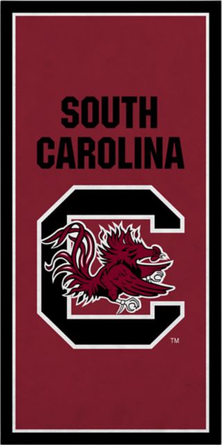 University of South Carolina 18x36 Banner