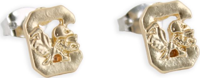 University of South Carolina Matte Gold Logo Stud Earrings