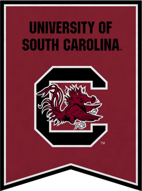University of South Carolina 18x24 Banner