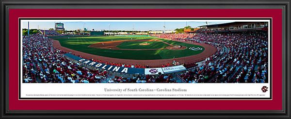 University of South Carolina 18'' x 44'' Deluxe Framed Print