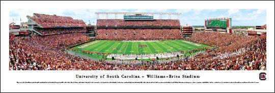 University of South Carolina 50 Yard Line 13.5'' x 40'' Print