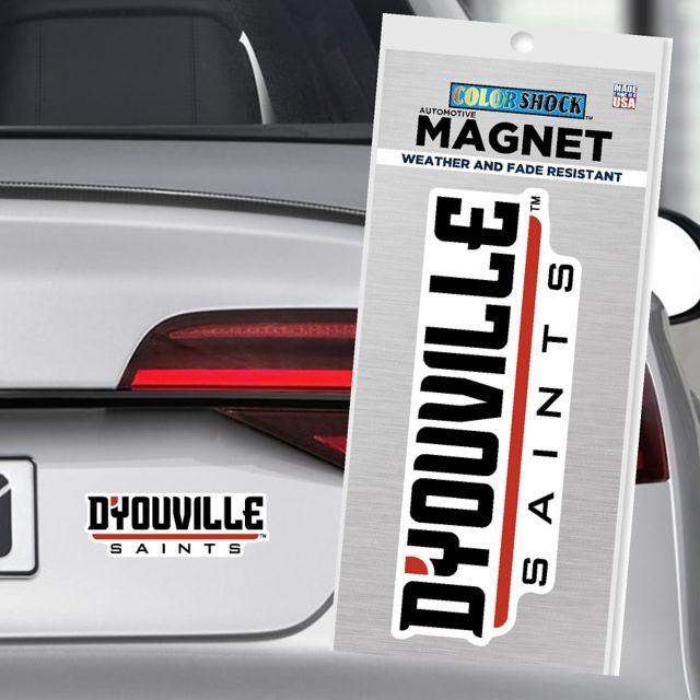 D’Youville University 4" x 4" Magnet