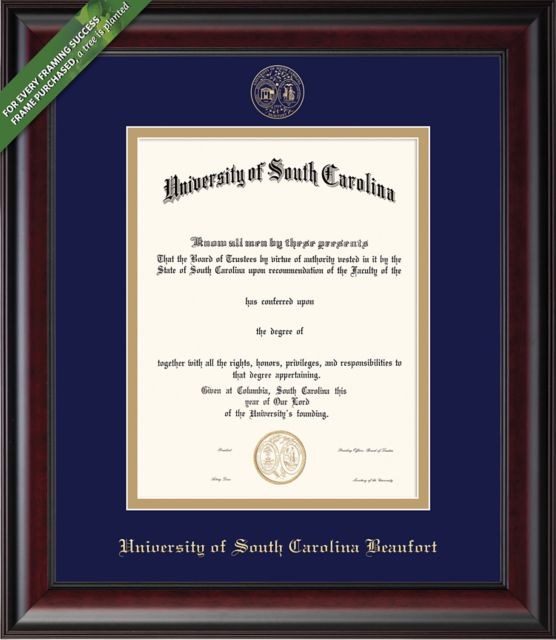 University of South Carolina Beaufort 11'' x 14'' Classic Diploma Frame