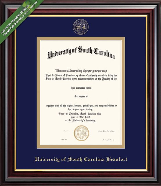 University of South Carolina Beaufort 11'' x 14'' Windsor Diploma Frame