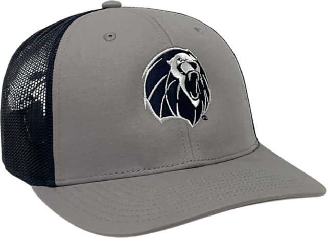 University of Arkansas Fort Smith Lions Cap