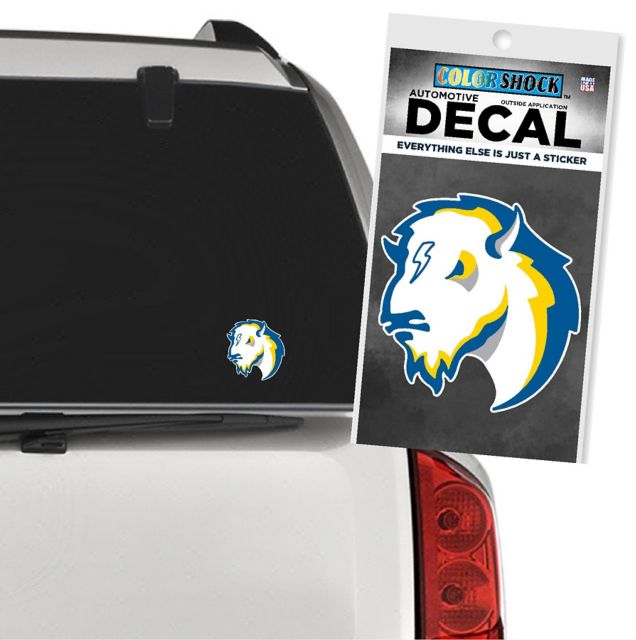 Southeastern Oklahoma State University Savage Storm Aviation Decal