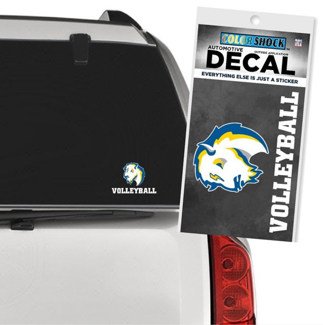 Southeastern Oklahoma State University Savage Storm Volleyball Decal