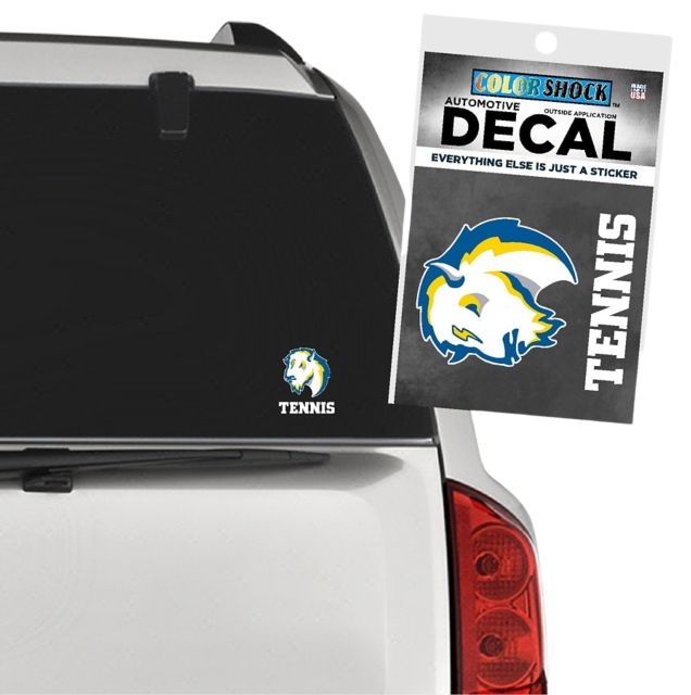 Southeastern Oklahoma State University Savage Storm Tennis Decal