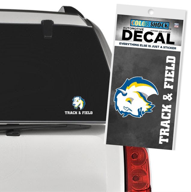 Southeastern Oklahoma State University Savage Storm Track & Field Decal