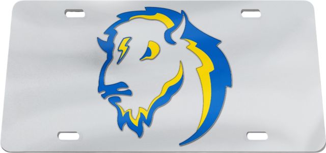 Southeastern Oklahoma State University Savage Storm License Plate