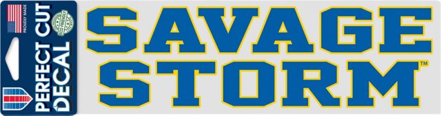 Southeastern Oklahoma State University 3 x 10 Decal