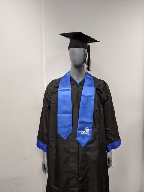 Georgia State University Graduation Bachelor Set