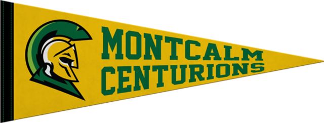 Montcalm Community College 9X24" Full Color Pennant"
