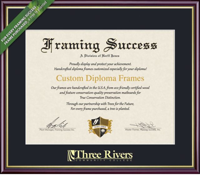 Framing Success Academic 7 x 9 Diploma with Single mat  - ONLINE ONLY