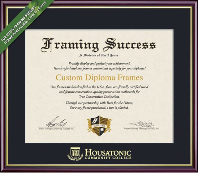 Framing Success Academic 7 x 9 Diploma with Single mat  - ONLINE ONLY
