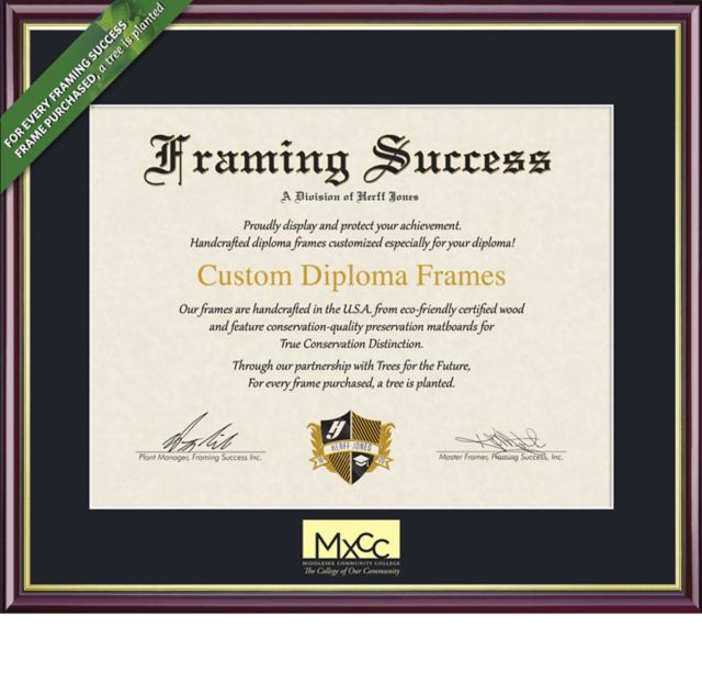 Framing Success Academic 7 x 9 Diploma with Single mat  - ONLINE ONLY